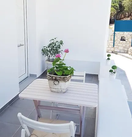 Stella's Naousa